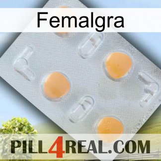 Femalgra 24